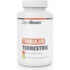 GymBeam Tribulus Terrestris 120 tabliet