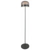 Rabalux XELIRA LED stojaca lampa 74038