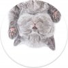 PopSockets Cat Nap