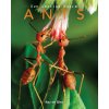 Ants: Amazing Pictures & Fun Facts on Animals in Nature (Kay De Silva)(Brožovaná)