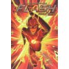 Flash: Hocus Pocus: (The Flash Book 1)