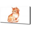 Foto obraz na plátne Červená mačka 100x50 cm
