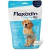 Flexadin Young Dog Maxi žvýkací 60tbl