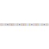 PN13300004 LED pás NW 24V 14,4W 10mm IP20 - 6030 LED Panlux