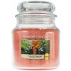 Yankee Candle The Last Paradise vonná sviečka 411 g