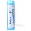 Pollens gra.1 x 4 g 9CH