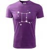 Súhvezdie - Gemini - Blíženci - Pánske tričko Fantasy športové - 3XL ( Fialová )