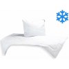 Brotex Zimná Súprava AntiStress 140x200 1300 g 70x90 900 g Unico zip