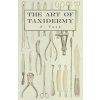 Art of Taxidermy