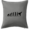 Karate Evolúcia - kop - Vankúš 50x50 - 50x50 - Iba poťah ( Tmavosivý melír )