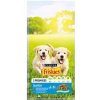Purina Friskies Dog Junior 15 kg