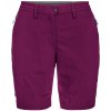 SALEWA PUEZ DRY W dark purple