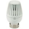 GIACOMINI R460H