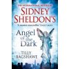 Sidney Sheldon's Angel of the Dark