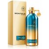 Montale Paris Herbal Aquatica EDP 100 ml (unisex)