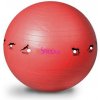 Sedco Gymnastický loptu SHULAN YOGA BALL 65 cm - černá