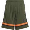 adidas | SQUADRA25 SHO Y | zelená| XL(165-176cm)