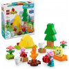 LEGO® DUPLO® Prasiatko Peppa 10452 Kempovačka