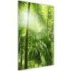 Vertikálny foto obraz akrylový do obývačky Dažďový prales 50x100 cm