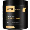 ATP Nutrition BCAA Nitro + DMAE 300 g mango