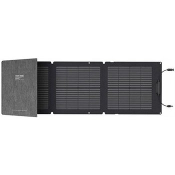 EcoFlow 110W 1ECO1000-02