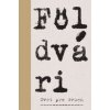Svet pre dvoch. O Lasicovi a Satinskom (Kornel Földvári)