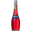 Bols Watermelon 17% 0,7 l (čistá fľaša)