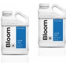 Athena Liquid Bloom A+B 3,78 l