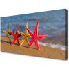 Obraz na plátne Pláž hviezdice umenie 100x50 cm