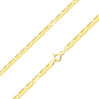 Šperky eshop Retiazka v žltom zlate lesklé oválne očká, hladký obdĺžnik S3GG30.25