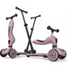 Scoot&Ride Kolobežka Highwaykick 1 Push & Go Wildberry