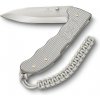 Victorinox Evoke Alox strieborný 0.9415.D26