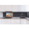 DIMEX | Dibond doska za kuchynskú linku | DBW-06040-123 Jarná lúka | 60 x 40 cm + Dibond obkladová doska Dimex do kuchyne Jarná lúka v rozmere 60 x 40 cm + lepidlo zadarmo