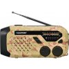 Blaupunkt ER10DC