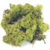 Aranžérsky islandský mach 100g - svetlozelený