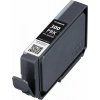 Canon CARTRIDGE PFI-300 PBK foto černá pro imagePROGRAF PRO-300
