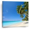 Sablio Obraz Palmová pláž - 50x50 cm