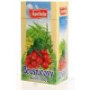 APOTHEKE BRUSNICOVÝ ČAJ NA MOČOVÉ CESTY 20x1,5 g (30 g)