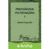 E-kniha Prechádzka po Patagónii I - Martin Kukučín
