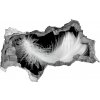Fototapeta diera na stenu Perie 95x73 cm