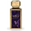 Risala An Island parfumovaná voda pánska 100 ml