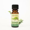 Slow natur éterický olej EUKALYPTUS 10 ml