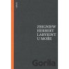 Labyrint u moře - Zbigniew Herbert
