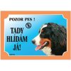Dafiko Tabulka Tady hlídám! Bernský salašnický 1ks