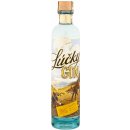 Lúčky Gin 40% 0,7 l (čistá fľaša)