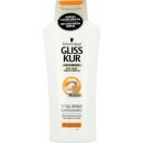Šampón Schwarzkopf Gliss Kur Kur Total Repair 19 šampón pre suché a poškodené vlasy 250 ml