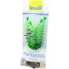 Tetra Anacharis S 15 cm