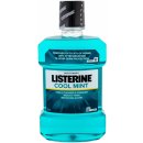 Listerine Teeth & Gum Defence ústna voda proti zubnému povlaku a pre zdravé ďasná príchuť Fresh Mint (Mouthwash) 1000 ml