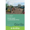 Ohniska napětí v postkoloniální Africe - Jan Záhořík