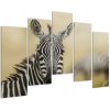 Zebra - obraz (Obraz 125x90cm)